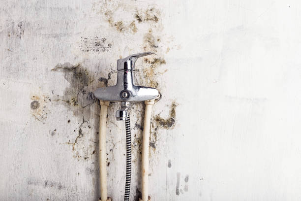 Best Commercial Mold Remediation in Groveland, FL