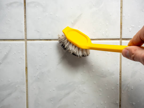 Best Bathroom Mold Remediation in Groveland, FL