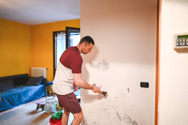 Best Attic Mold Remediation in Groveland, FL